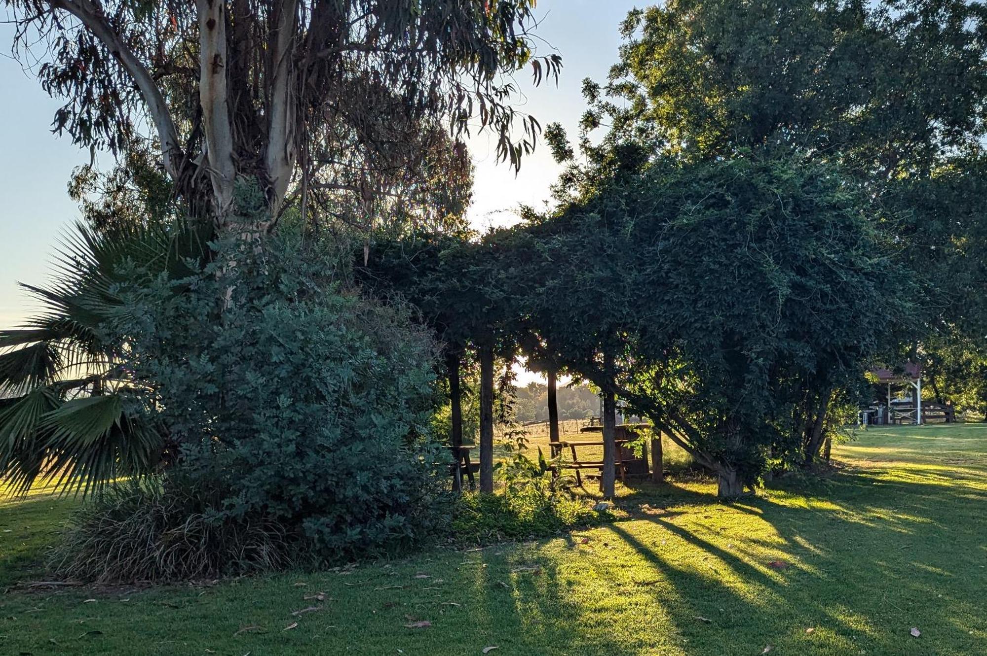 Cudgegong Valley Motel Mudgee Exterior photo